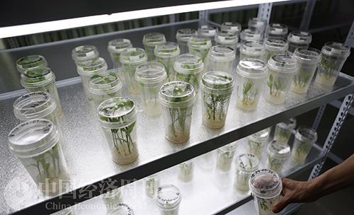 生物制造将成为新增长引擎＂